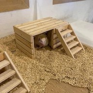 Little Zoo Cafe Onnut Plaza