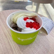 Yogurtland เมกา บางนา