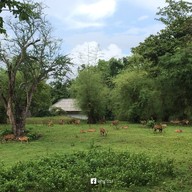 บรรยากาศ อนุสรณ์สถานสืบนาคะเสถียร