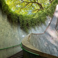 บรรยากาศ Fort Canning Park