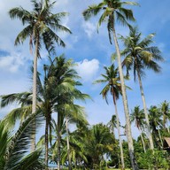 Tolani Resort Koh Kood