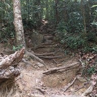 เกาะช้าง