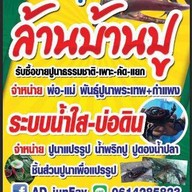 ยำมะม่วงปูนาดองล้านบ้านปูลพบุรี ฟาร์มปูนาล้านบ้านปู