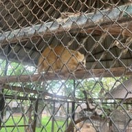 Bonanza Exotic Zoo