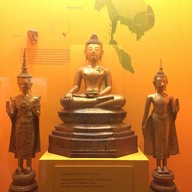 American Museum Of Natural History