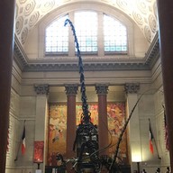 American Museum Of Natural History