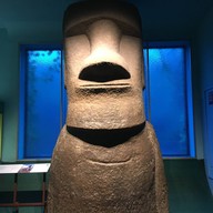 American Museum Of Natural History