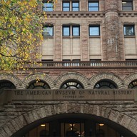 American Museum Of Natural History