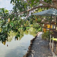 บรรยากาศ เตี๋ยวบ้านสวน ซอยวัดทับทิมแดง ปทุมธานี