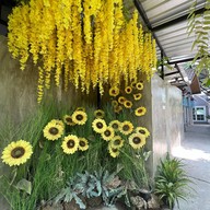 Florista Cafe And Eatery