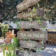 Stay with tree cafe