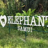 I Love Elephant Samui