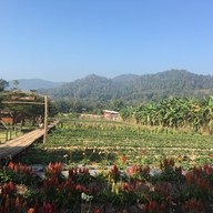 ไร่สตรอเบอร์รี่ไผ่สีทอง