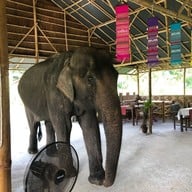 I Love Elephant Samui