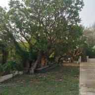 ลีลาวลัย เรส โฮเทล ชุมแพ