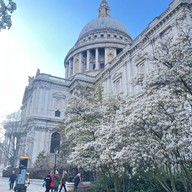 St. Paul Cathedral