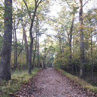 Great Fall Park