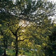 Riverside Park