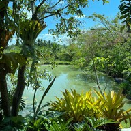 PADTHAI TONJIK RESTAURANT & CAFE