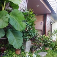 ยุ้น