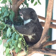 Featherdale Sydney Wildlife Park
