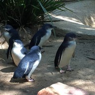 Featherdale Sydney Wildlife Park