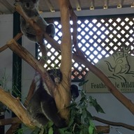 Featherdale Sydney Wildlife Park