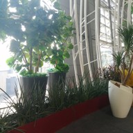 บรรยากาศ Future Park & Zpell