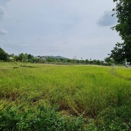 TungNa Coffee ChiangMai ทุ่งนากาแฟ เชียงใหม่