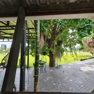 TungNa Coffee ChiangMai ทุ่งนากาแฟ เชียงใหม่