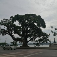 บรรยากาศ สวรรค์ชายโขง นครพนม