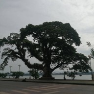 บรรยากาศ สวรรค์ชายโขง นครพนม