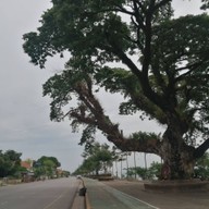 บรรยากาศ สวรรค์ชายโขง นครพนม