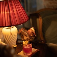 DOMA BAR DOMA BANGKOK