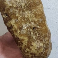 Bee&Sweet น้ำผึ้งป่า100%