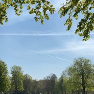 Het Park