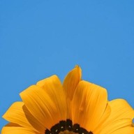 The Pizza 37 and coffee