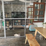 Popo’s Cafe Chiangmai เชียงใหม่