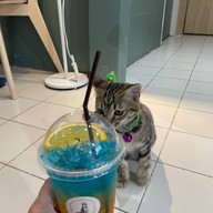 Popo’s Cafe Chiangmai เชียงใหม่