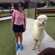 Alpaca Hill