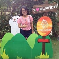 Alpaca Hill