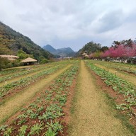 สถานีเกษตรหลวงอ่างขาง