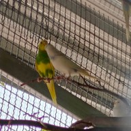 อู่ต่อเรือพระเจ้าตาก