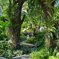 บรรยากาศ Trees and Co