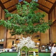 บรรยากาศ Trees and Co