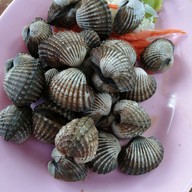 เมนูของร้าน ครัวลุงโห