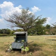 บรรยากาศ Jolly Cafe by Cup Mellow Khao Kho