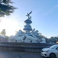วงเวียนปลาพะยูน