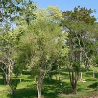 บรรยากาศ Vanin tara