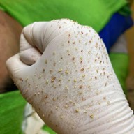 ร้านนวดหน้าด้วยมือ ที่เดียวในลำปาง อายตานิคสาขาเมืองลำปาง